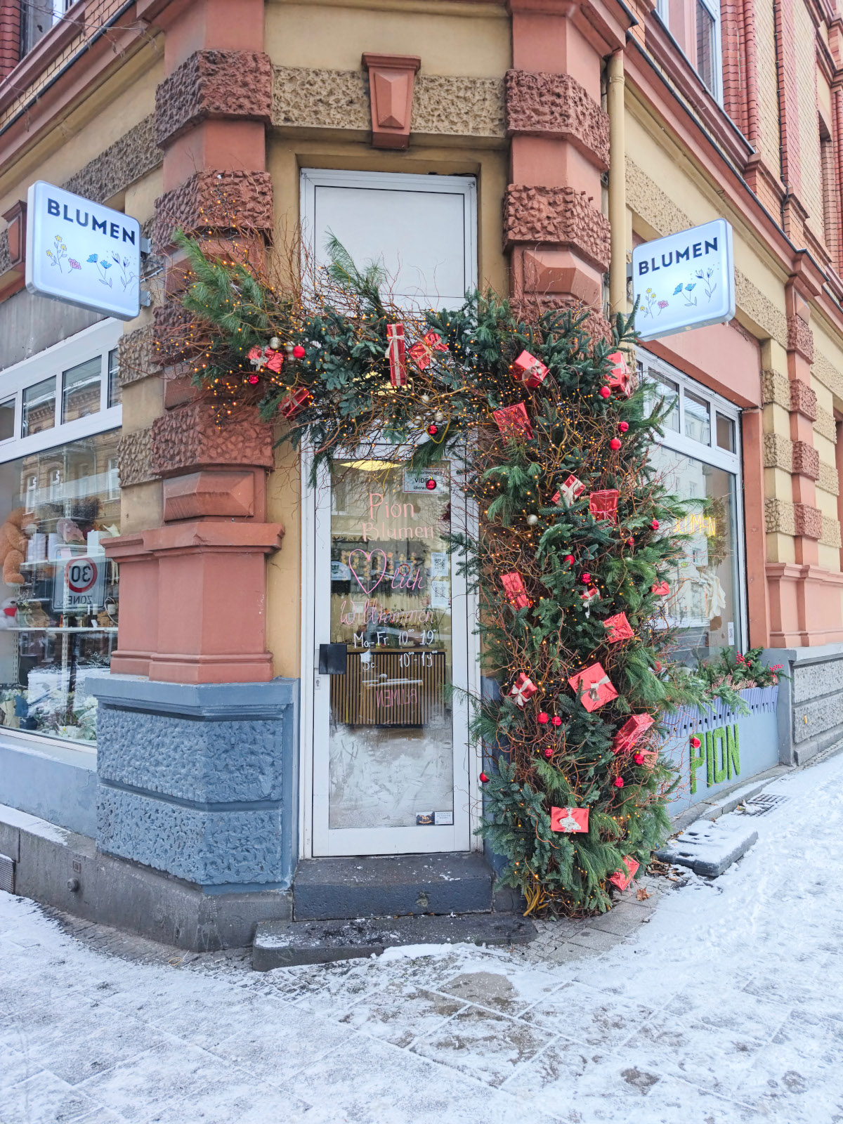 Fassadengestaltung Pion Blumen
